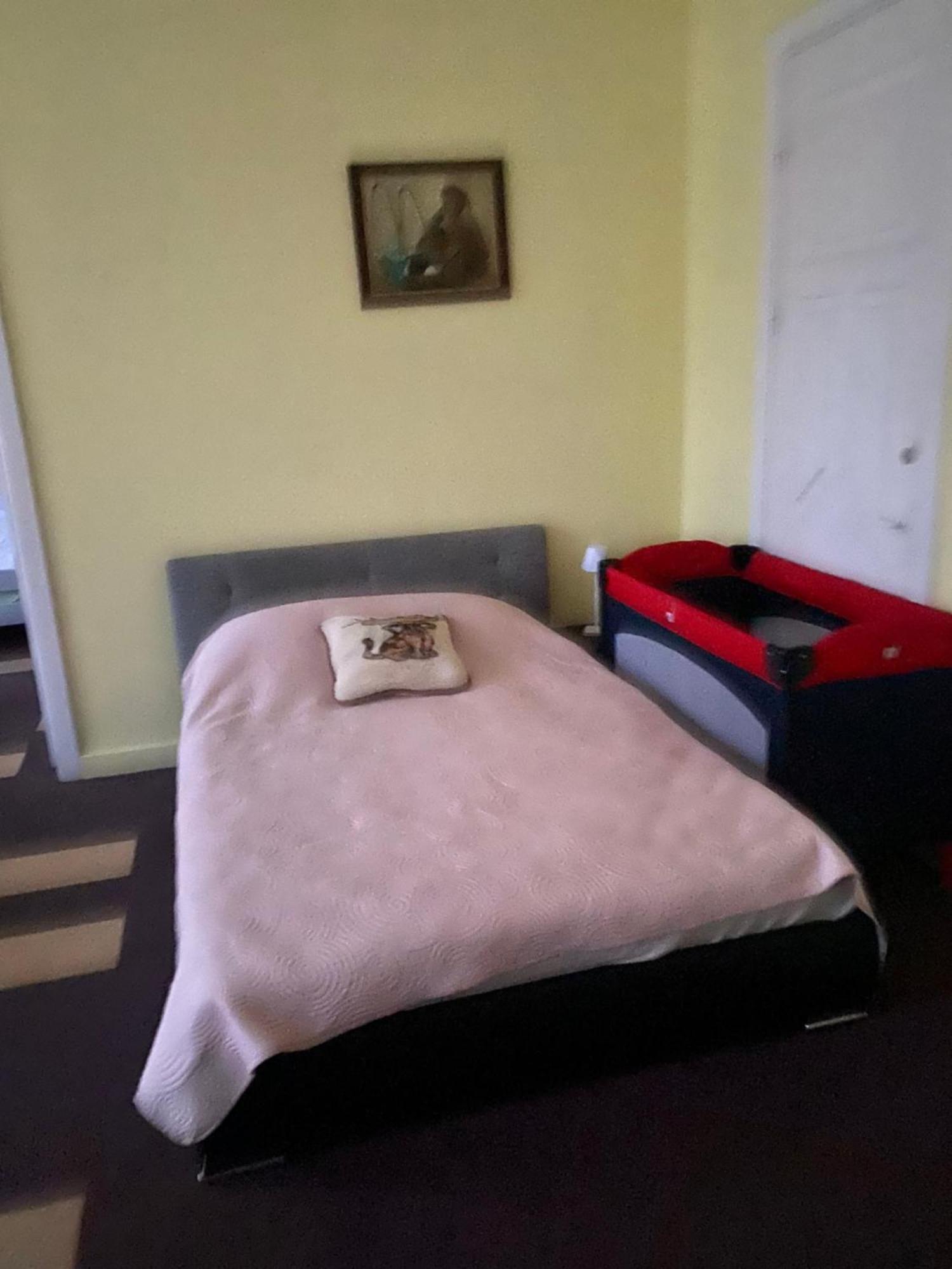 הוסטל קובנה Sija'S House מראה חיצוני תמונה